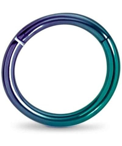 Titanium Hinged Septum Clicker Segment Nose Ring Lip Ear Cartilage 5/16" - 8mm CHOOSE YOUR COLOR 16G Purple Teal $10.44 Body ...