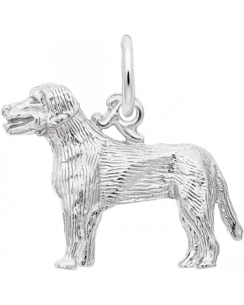 Labrador Charm, Sterling Silver $15.38 Bracelets