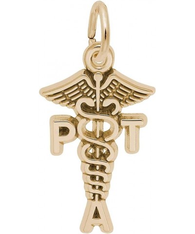 Physical Therapist Assistant Charm yellow-gold-plated-silver $16.90 Bracelets