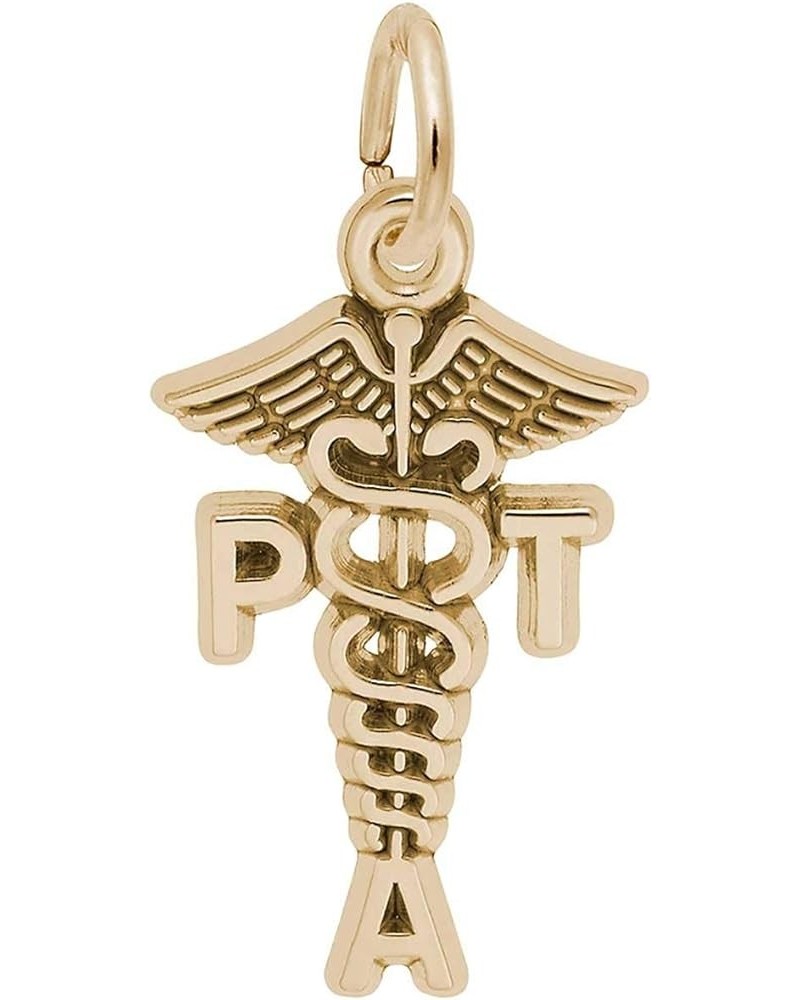 Physical Therapist Assistant Charm yellow-gold-plated-silver $16.90 Bracelets