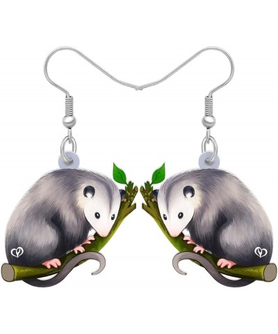 Acrylic Adorable Possum Earrings Dangle Charms Opossum Jewelry for Women Girls Possum Gifts Fog $6.75 Earrings