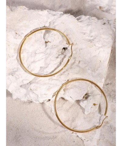 Classic Vintage Lightweight Hoop Earrings for Women, Fashion Statement Hoop Earrings, Trendy Jewelry Gift for Women 3A $8.54 ...