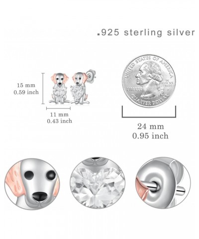 Labrador Retriever Earrings 925 Sterling Silver Labrador Retriever Gifts Cute Puppy Dog Lovers Gifts for Women Girls Labrador...