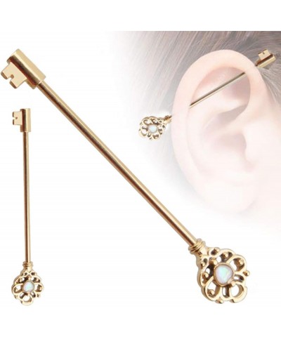 Fashion Charming Body Piercing Jewelry for Women Men Valentine's Day Boy Girl Friend Hollow Key Industrial Barbell Earring St...