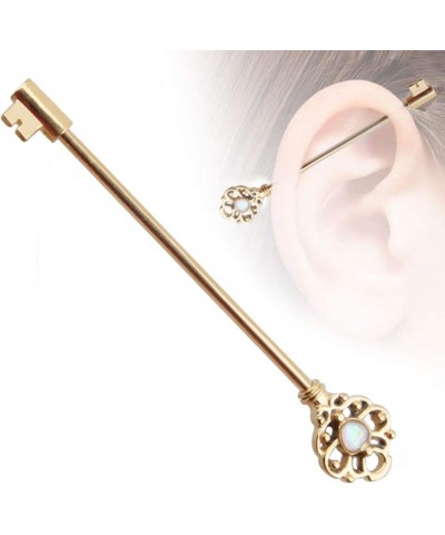 Fashion Charming Body Piercing Jewelry for Women Men Valentine's Day Boy Girl Friend Hollow Key Industrial Barbell Earring St...