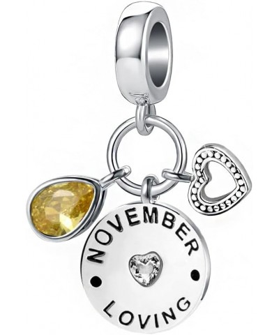 Teardrop Birthstone Heart Charm Fit Pandora Bracelets Happy Birthday Love Bead for Women Mom November $8.24 Bracelets