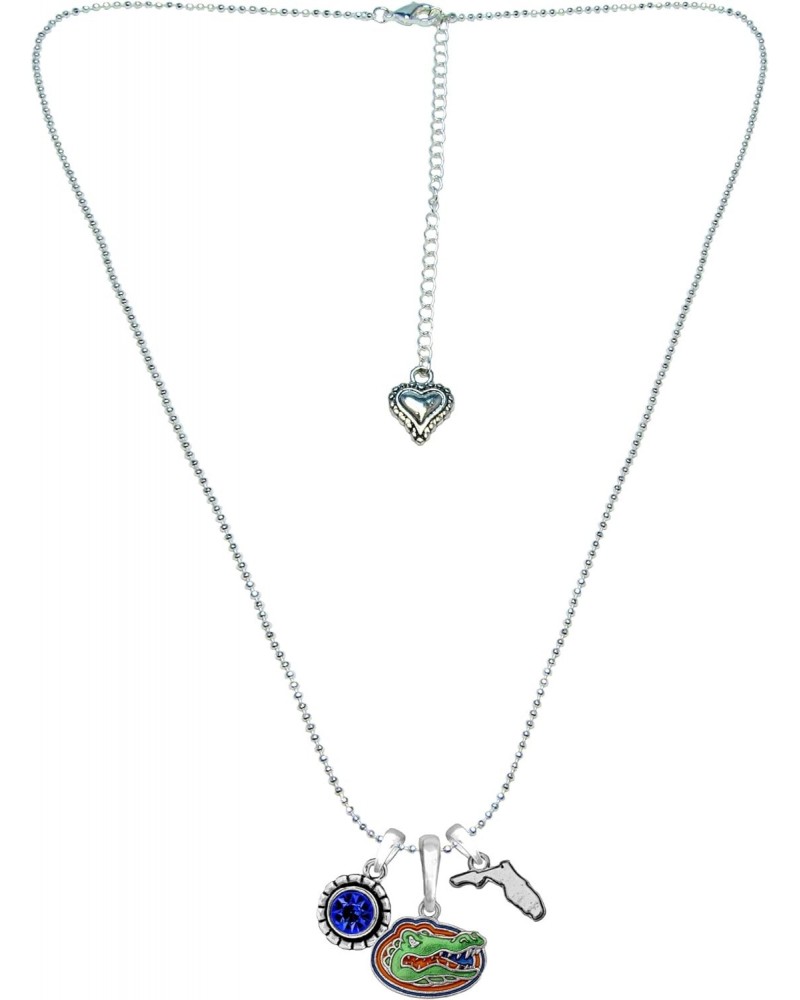 Florida Gators Home Sweet Home Silver Crystal Necklace Jewelry Gift UF $13.47 Necklaces