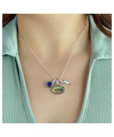 Florida Gators Home Sweet Home Silver Crystal Necklace Jewelry Gift UF $13.47 Necklaces