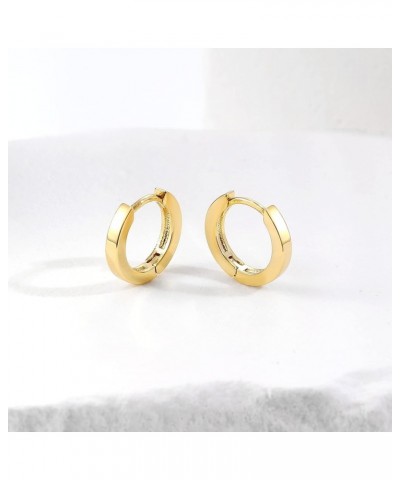 Small Gold Hoop Earrings for Women 14K Gold Plated Huggie Hoop Earrings A Yellow Gold 12mm $10.43 Earrings