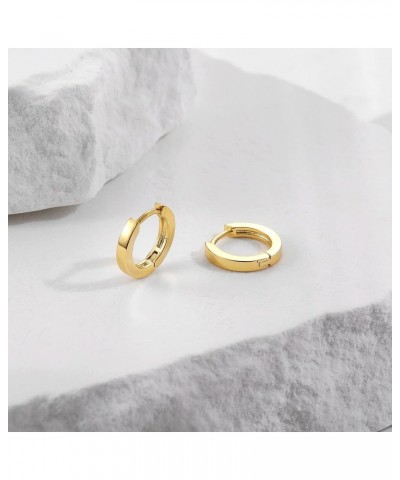 Small Gold Hoop Earrings for Women 14K Gold Plated Huggie Hoop Earrings A Yellow Gold 12mm $10.43 Earrings