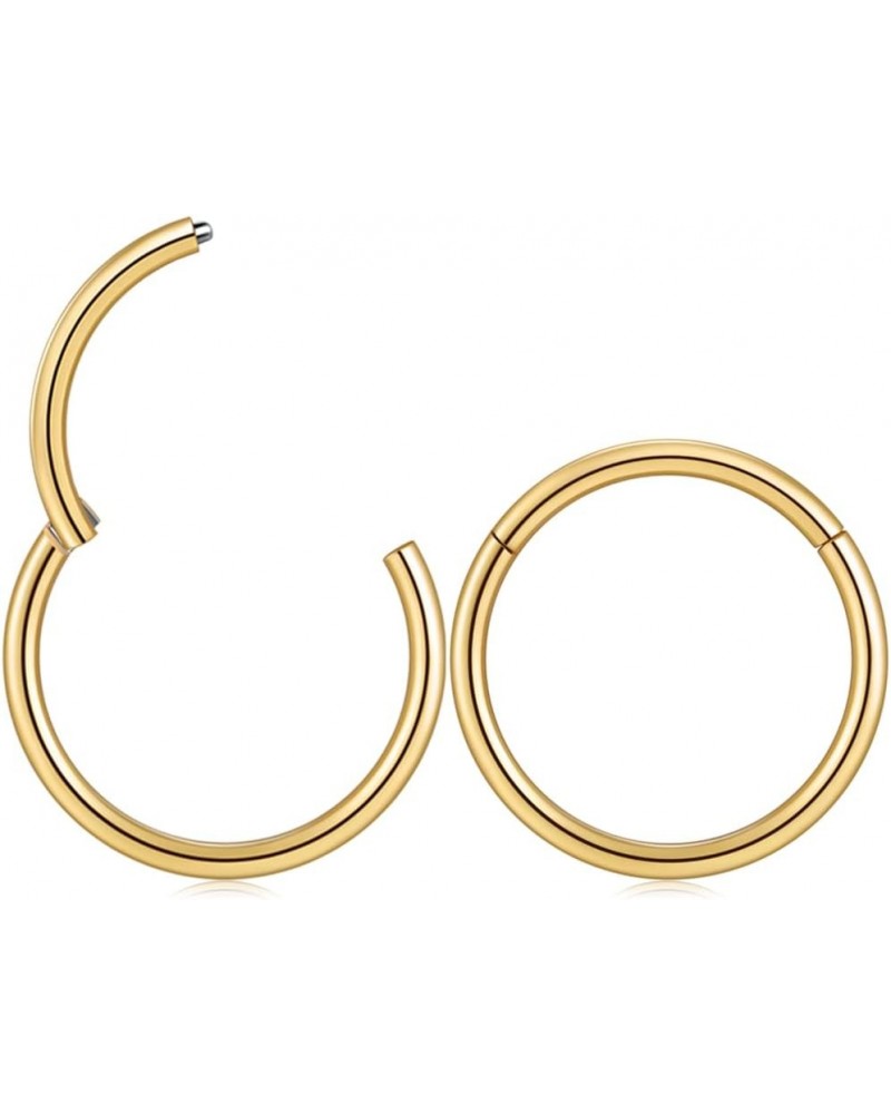 Nose Rings Hoops Septum Rings: Nose Rings Nose Ring Hoop Surgical Steel Nose Rings for Women Hypoallergenic Nose Hoop Septum ...