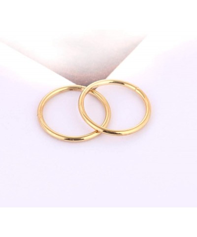 Nose Rings Hoops Septum Rings: Nose Rings Nose Ring Hoop Surgical Steel Nose Rings for Women Hypoallergenic Nose Hoop Septum ...