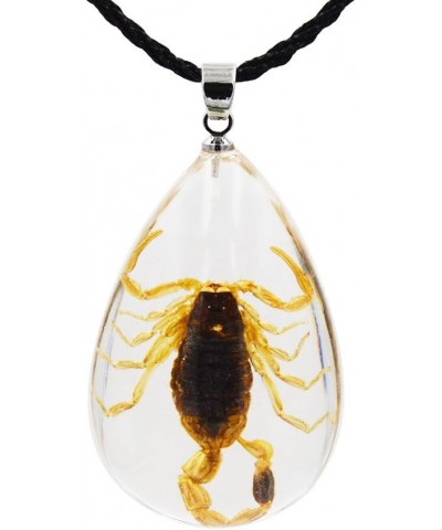 Real Scorpion Necklace, Real Scorpion Pendant Necklace Large Brown Scorpion $8.50 Necklaces