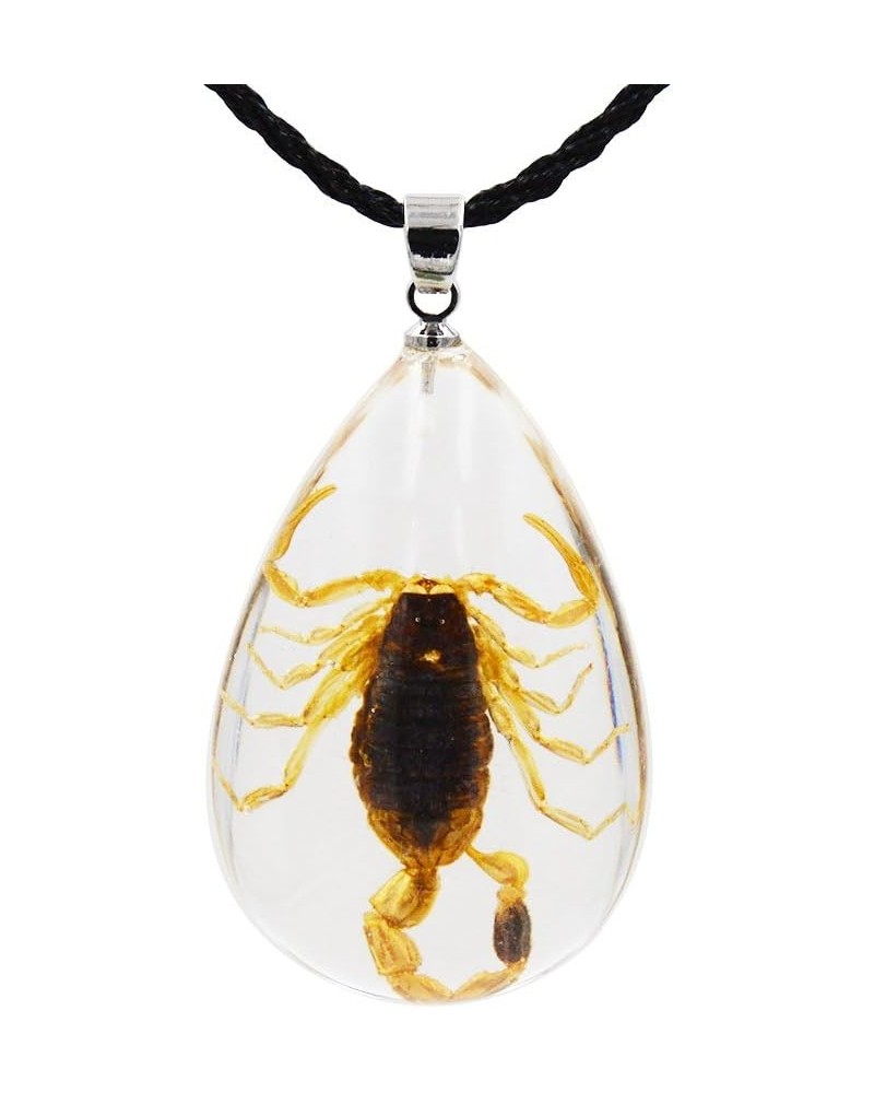 Real Scorpion Necklace, Real Scorpion Pendant Necklace Large Brown Scorpion $8.50 Necklaces