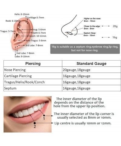 5 Pcs 20G 18G 16G Nose Rings Hoop Set 316L Surgical Steel Earrings Tragus Septum Piercing Cartilage Hoop For Women Men Twist-...