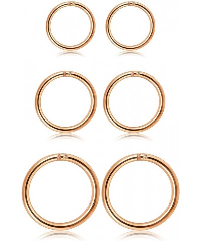 3-6Pairs Stainless Steel 16G Sleeper Earrings Septum Clicker Nose Lip Ring Body Piercing C: 3Pairs Rose Gold(6/8/10mm) $8.09 ...