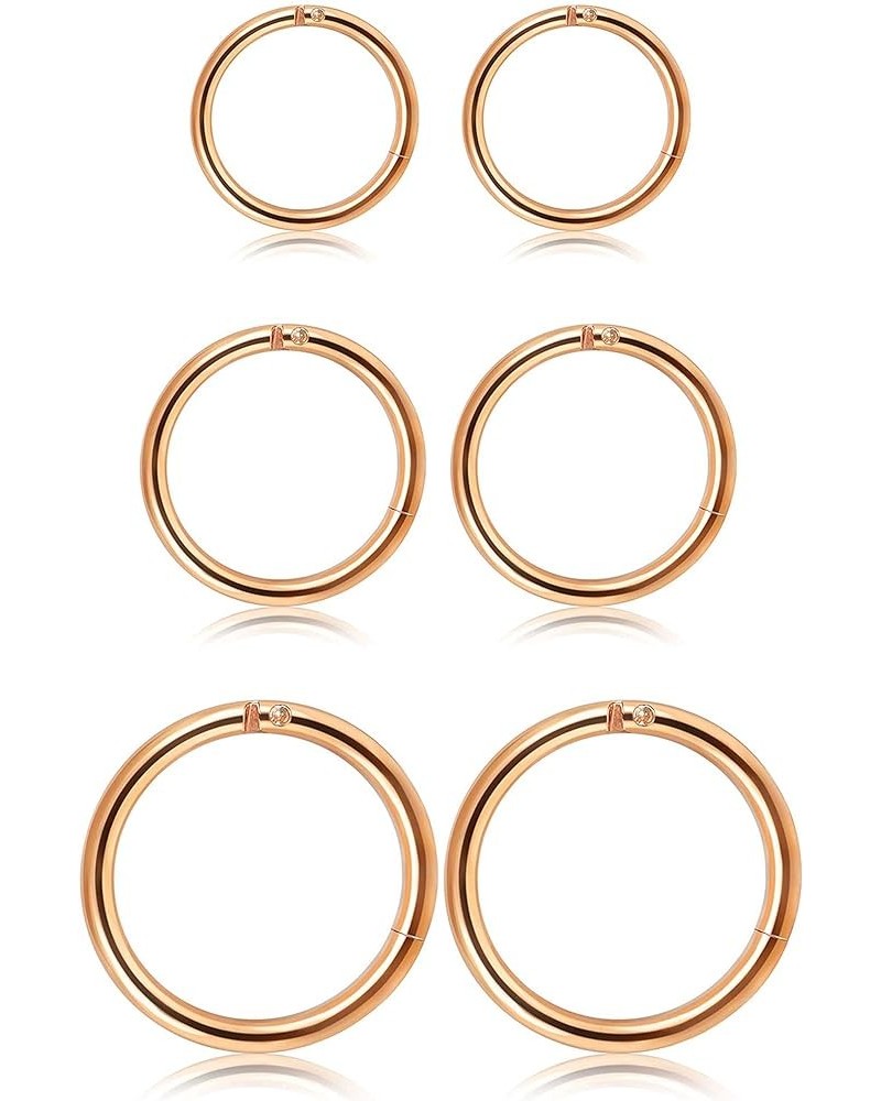 3-6Pairs Stainless Steel 16G Sleeper Earrings Septum Clicker Nose Lip Ring Body Piercing C: 3Pairs Rose Gold(6/8/10mm) $8.09 ...