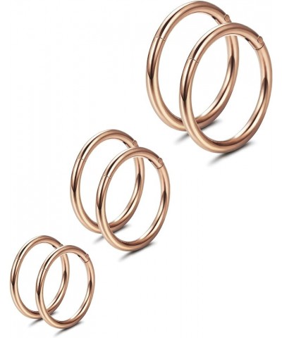 3-6Pairs Stainless Steel 16G Sleeper Earrings Septum Clicker Nose Lip Ring Body Piercing C: 3Pairs Rose Gold(6/8/10mm) $8.09 ...