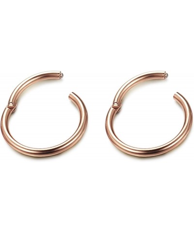 3-6Pairs Stainless Steel 16G Sleeper Earrings Septum Clicker Nose Lip Ring Body Piercing C: 3Pairs Rose Gold(6/8/10mm) $8.09 ...