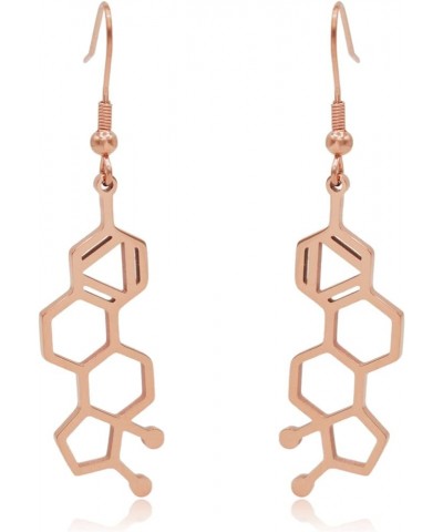 Estrogen Molecule Stainless Steel Dangle Earrings Rose Gold $13.56 Earrings