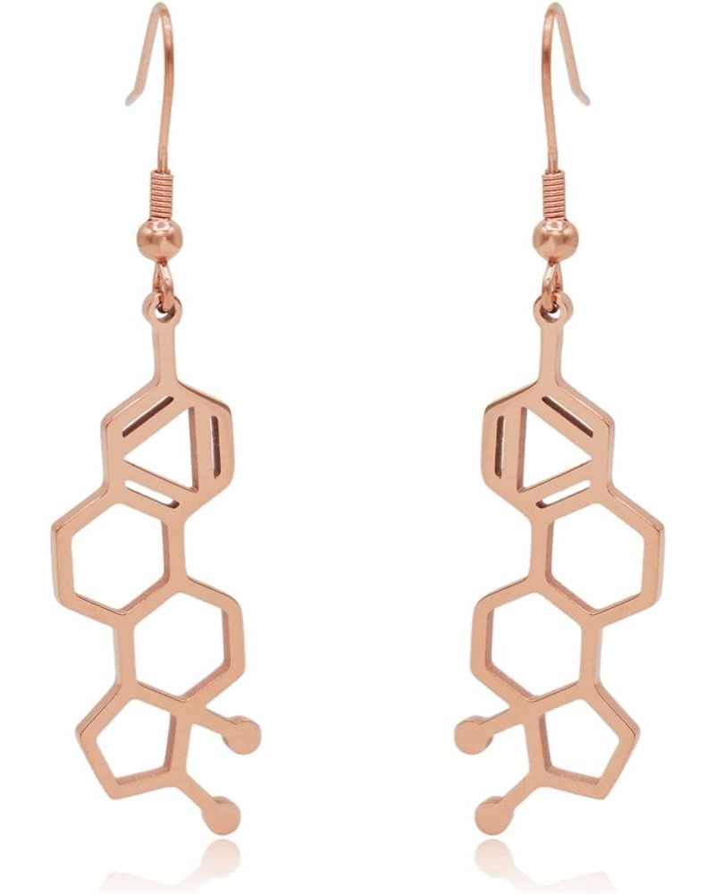 Estrogen Molecule Stainless Steel Dangle Earrings Rose Gold $13.56 Earrings