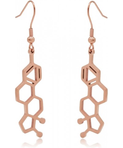 Estrogen Molecule Stainless Steel Dangle Earrings Rose Gold $13.56 Earrings