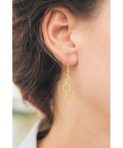 Estrogen Molecule Stainless Steel Dangle Earrings Rose Gold $13.56 Earrings