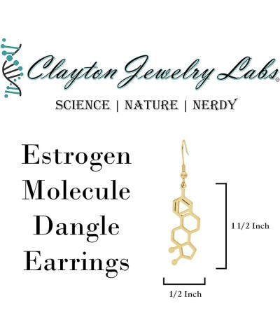 Estrogen Molecule Stainless Steel Dangle Earrings Rose Gold $13.56 Earrings