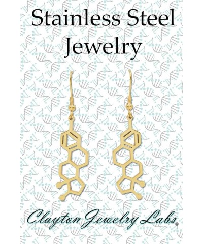 Estrogen Molecule Stainless Steel Dangle Earrings Rose Gold $13.56 Earrings